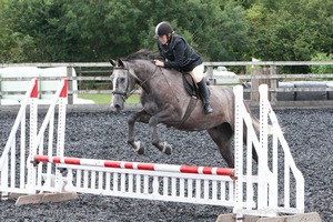 Class 5 - Fences not above 2'6